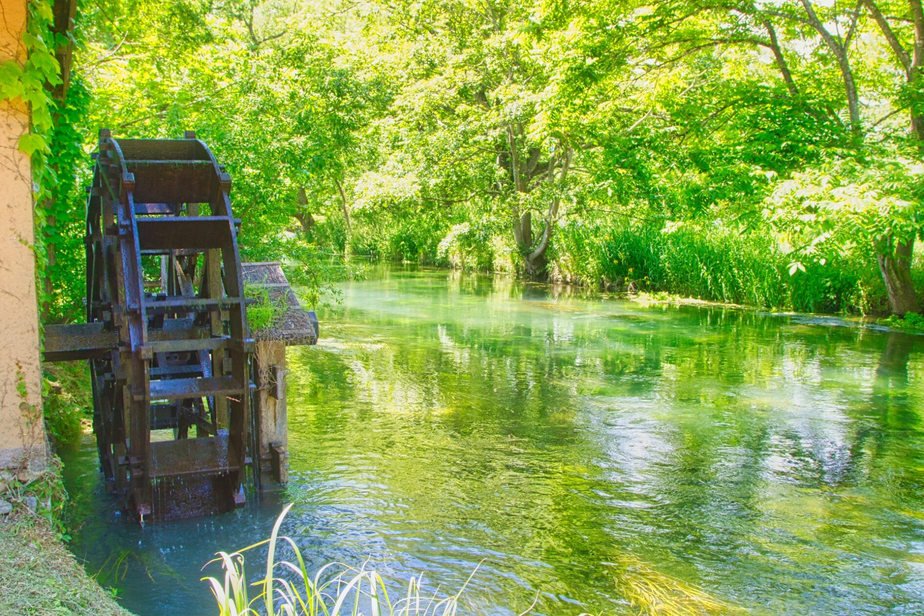 あなたが現在見ているのは お客様の感想6　DNAエネルギー活性氣功整体