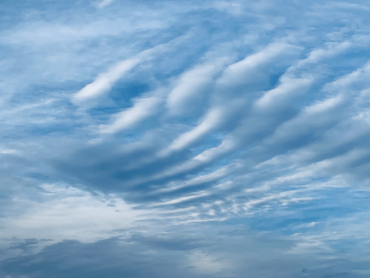 あなたが現在見ているのは お客様の感想2　スピ・リーディング