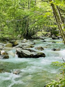 投稿についてもっと詳しく 夏期休みのお知らせ