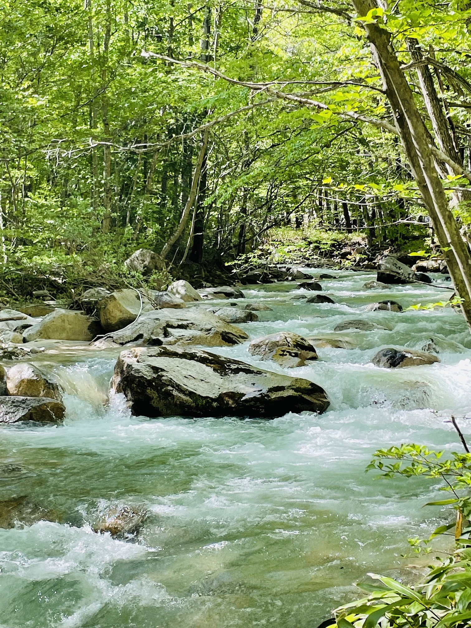あなたが現在見ているのは 夏期休みのお知らせ
