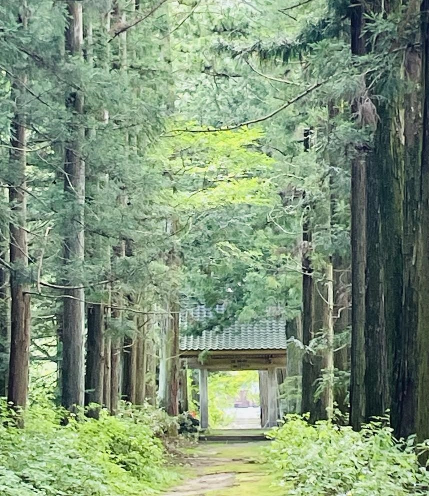 あなたが現在見ているのは お客様の感想no7　スピ・リーディング7　