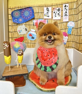 あなたが現在見ているのは 残暑お見舞い申し上げます