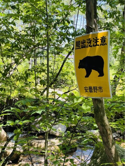 あなたが現在見ているのは 熊出没注意