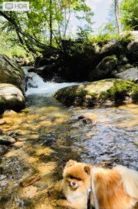 投稿についてもっと詳しく 夏期休みのお知らせ