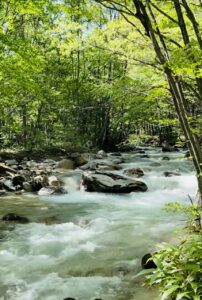 投稿についてもっと詳しく 暑中見舞い♪営業と臨時休業お知らせ